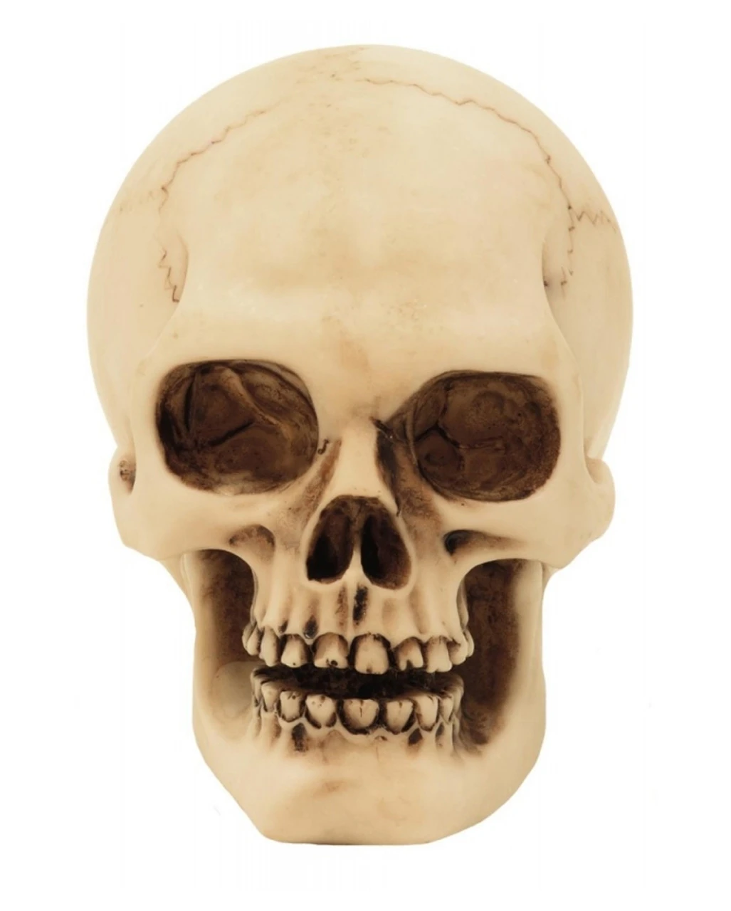 2er Set Graveyard Totenschädel Medium 4 2er Set Graveyard Totenschädel Medium – Bild 2