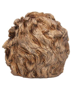 Albert Einstein Totenschädel 21cm 12 Albert Einstein Totenschädel 21cm -Halloween Dekorations Geschäft albert einstein totenkopf albert einstein totenschaedel albert einstein skull 54562 04