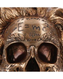 Albert Einstein Totenschädel 21cm 13 Albert Einstein Totenschädel 21cm -Halloween Dekorations Geschäft albert einstein totenkopf albert einstein totenschaedel albert einstein skull 54562 05