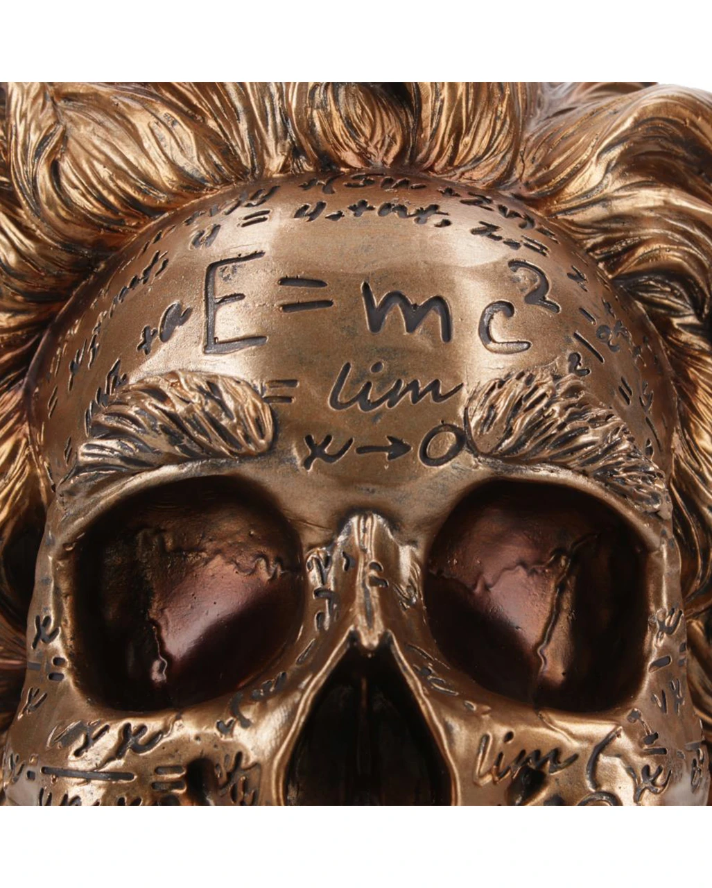 Albert Einstein Totenschädel 21cm 7 Albert Einstein Totenschädel 21cm – Bild 5