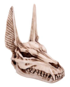 Anubis Totenschädel Figur 17cm