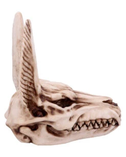 Anubis Totenschädel Figur 17cm -Halloween Dekorations Geschäft anubis totenkopf figur anubis totenschaedel figur anubis skull figurine 51020 04