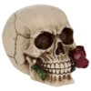 Beiger Totenschädel Mit Roter Rose 15cm -Halloween Dekorations Geschäft beiger totenkopf mit roter rose beiger totenschaedel mit roter rose antic skull with red rose 53389 01