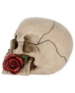 Beiger Totenschädel Mit Roter Rose 15cm 10 Beiger Totenschädel Mit Roter Rose 15cm -Halloween Dekorations Geschäft beiger totenkopf mit roter rose beiger totenschaedel mit roter rose antic skull with red rose 53389 03