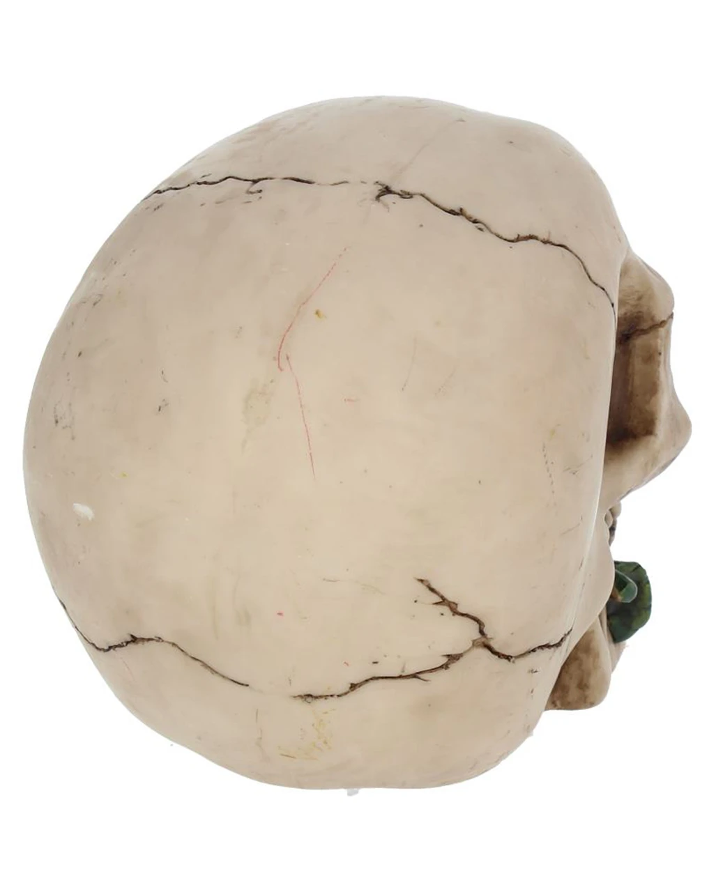 Beiger Totenschädel Mit Roter Rose 15cm 7 Beiger Totenschädel Mit Roter Rose 15cm – Bild 5