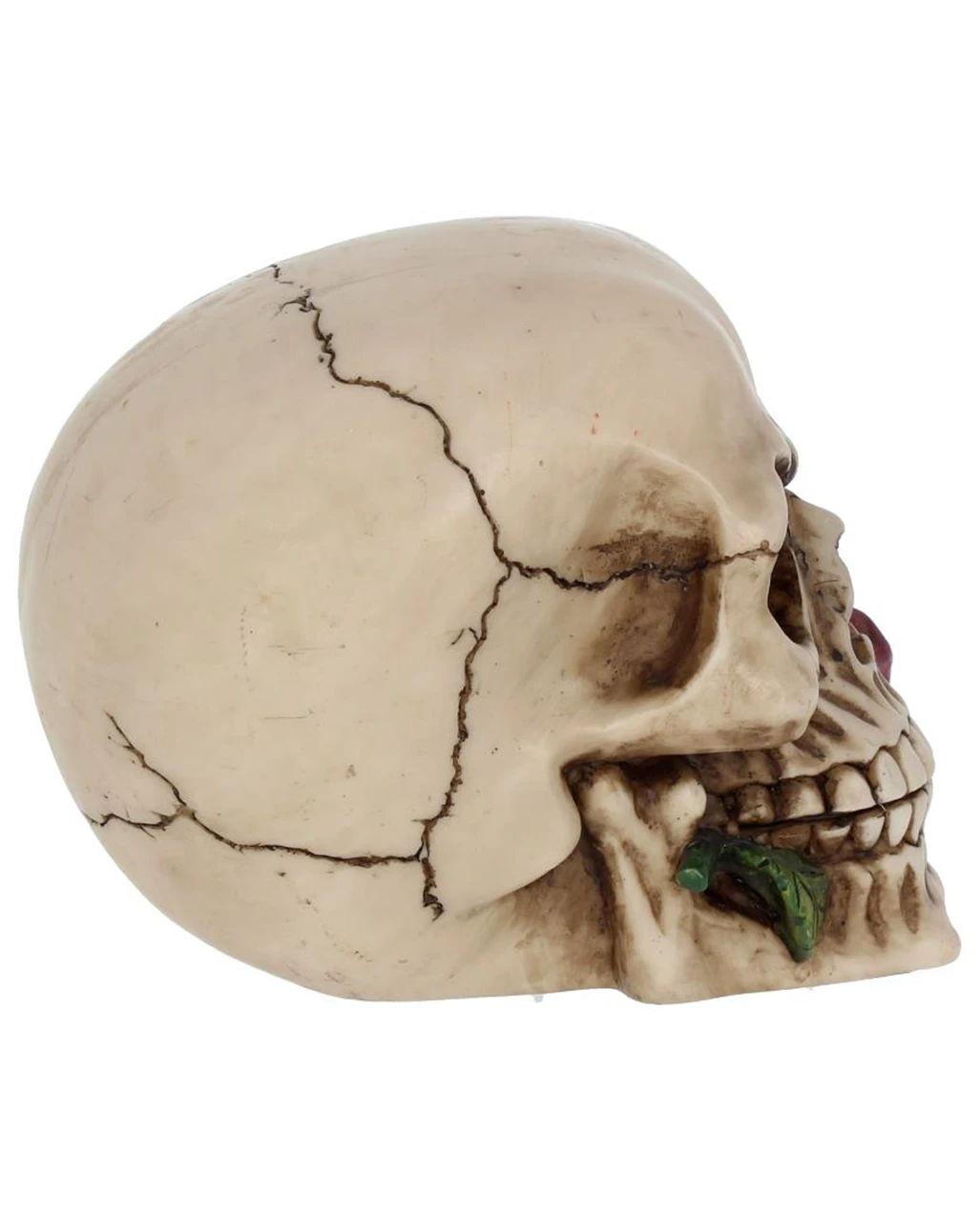 Beiger Totenschädel Mit Roter Rose 15cm 8 Beiger Totenschädel Mit Roter Rose 15cm – Bild 6