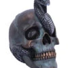 Schuppige Schlange In Totenkopf 19cm -Halloween Dekorations Geschäft das schicksal der schlange gothic schaedel 19cm serpentine fate gothic snake skull gothic deko totenkopf 53993