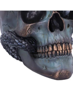 Schuppige Schlange In Totenkopf 19cm 13 Schuppige Schlange In Totenkopf 19cm -Halloween Dekorations Geschäft das schicksal der schlange gothic schaedel 19cm serpentine fate gothic snake skull gothic deko totenkopf 53993 6