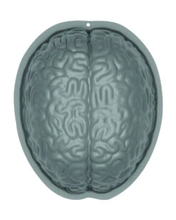 Halloween Gehirn Puddingform