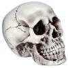 Beiger, Realistischer Totenkopf 1 Beiger, Realistischer Totenkopf -Halloween Dekorations Geschäft halloween totenschaedel halloween totenkopf halloween deko realistic skull 21539 01