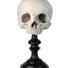 J. DOE Totenschädel Auf Sockel 20cm 2 J. DOE Totenschädel Auf Sockel 20cm -Halloween Dekorations Geschäft j doe totenkopf auf sockel j doe totenschaedel auf sockel j doe skull plinth gothic homware 54857 04