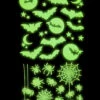 Leuchtende "Fledermäuse & Spinnen" Halloween Sticker -Halloween Dekorations Geschäft leuchtende halloween sticker fledermaeuse und spinnen glow in the dark halloween sticker bats and spiders 51726 01