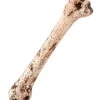Menschlicher Kunststoff Knochen 34cm 2 Menschlicher Kunststoff Knochen 34cm -Halloween Dekorations Geschäft menschlicher knochen kunststoff human bone pvc kostuemzuebhoer 52820 01