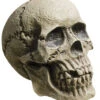 Verwitterter Skull Totenkopf -Halloween Dekorations Geschäft rotting skull totenschaedel verwitterter totenkopf halloween deko 28000