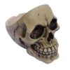 Aschenbecher Totenschädel -Halloween Dekorations Geschäft schaedel aschenbecher totenkopf dekoration skeleton ash tray 27476