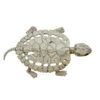 Schildkröten Skelett 1 Schildkröten Skelett -Halloween Dekorations Geschäft schildkroeten skelett turtle skeleton halloween deko 39345 01