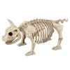 Ferkel Skelett -Halloween Dekorations Geschäft schweinchen skelett ferkel skelett piggy skeleton 39344 01