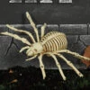 Spinnen Skelett 24cm -Halloween Dekorations Geschäft skelett spinne 24cm ungeziefer dekoration knochengerippe halloween deko skeleton spider 35975