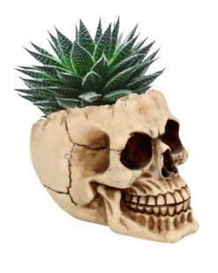 Realistische Totenschädel Schale Mit Offener Schädeldecke 9 Realistische Totenschädel Schale Mit Offener Schädeldecke -Halloween Dekorations Geschäft totenschaedel schale mit offener schaedeldecke realistic skull mug morbide gothic deko halloween deko totenschaedel 39289 2