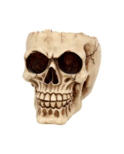 Realistische Totenschädel Schale Mit Offener Schädeldecke 10 Realistische Totenschädel Schale Mit Offener Schädeldecke -Halloween Dekorations Geschäft totenschaedel schale mit offener schaedeldecke realistic skull mug morbide gothic deko halloween deko totenschaedel 39289 3