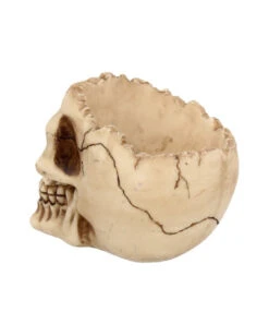 Realistische Totenschädel Schale Mit Offener Schädeldecke 11 Realistische Totenschädel Schale Mit Offener Schädeldecke -Halloween Dekorations Geschäft totenschaedel schale mit offener schaedeldecke realistic skull mug morbide gothic deko halloween deko totenschaedel 39289 5