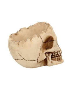 Realistische Totenschädel Schale Mit Offener Schädeldecke 13 Realistische Totenschädel Schale Mit Offener Schädeldecke -Halloween Dekorations Geschäft totenschaedel schale mit offener schaedeldecke realistic skull mug morbide gothic deko halloween deko totenschaedel 39289 6